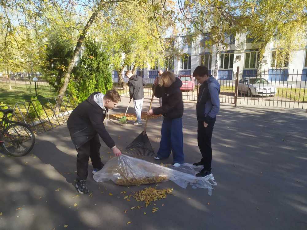 Изображение не найдено