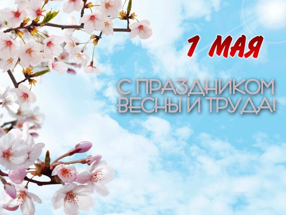 Изображение не найдено