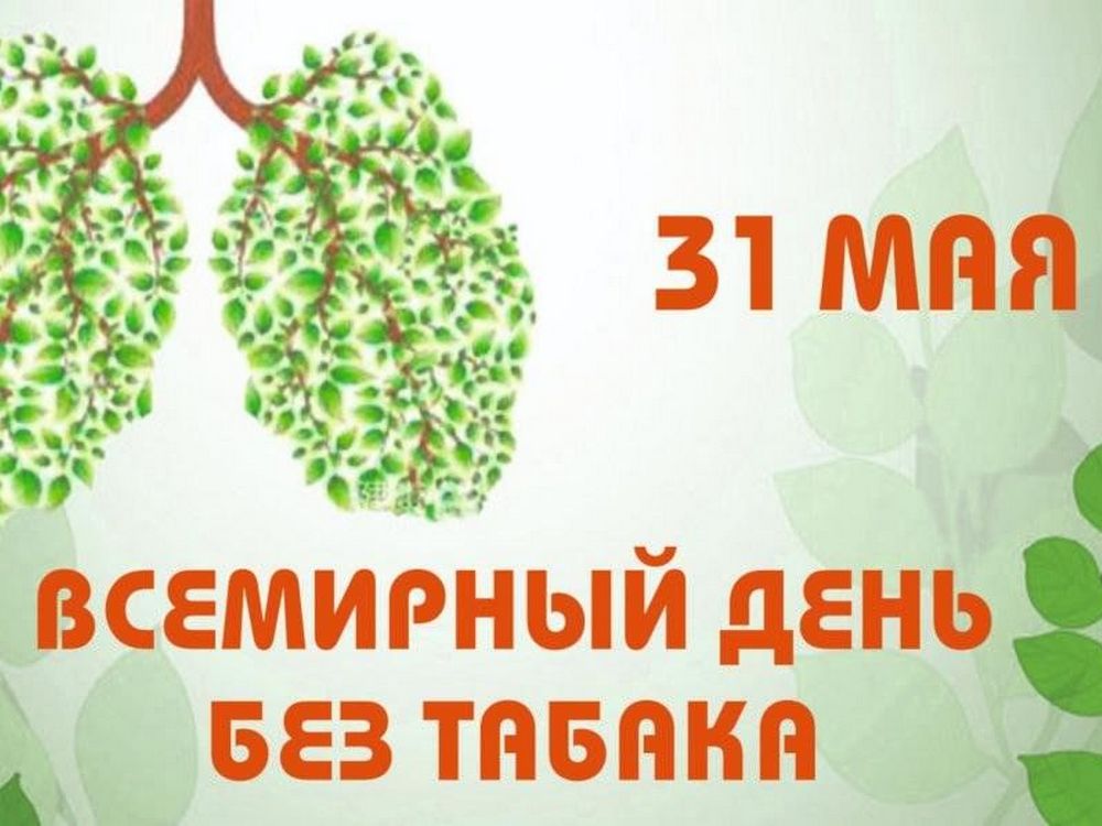 Изображение не найдено