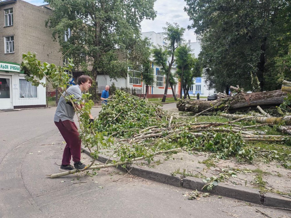 Изображение не найдено