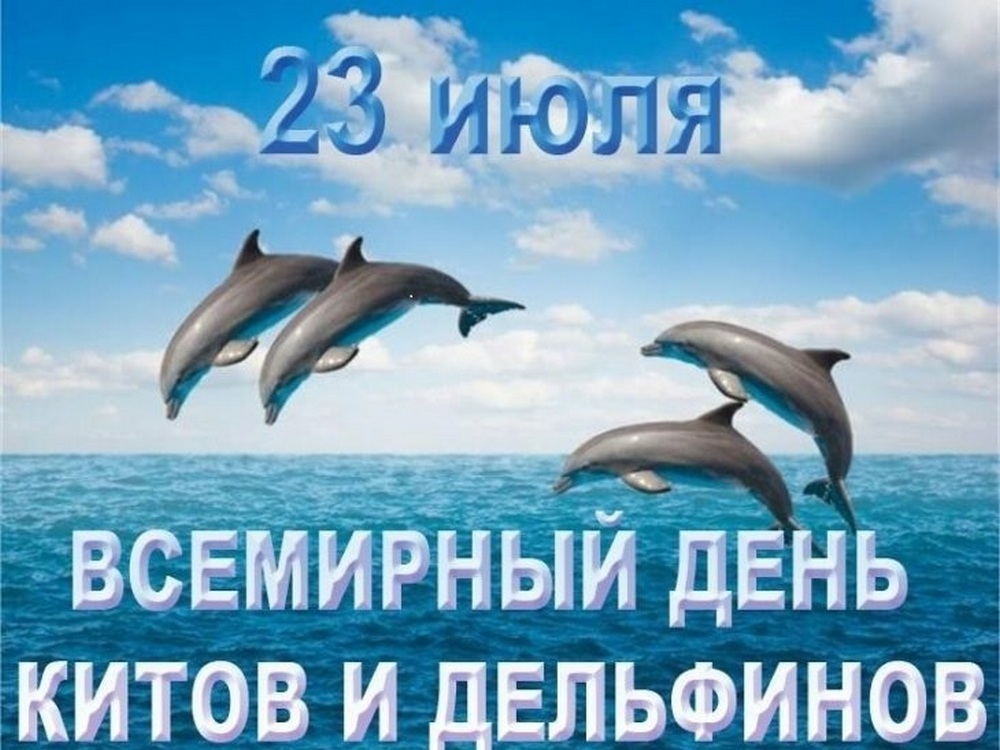 Изображение не найдено