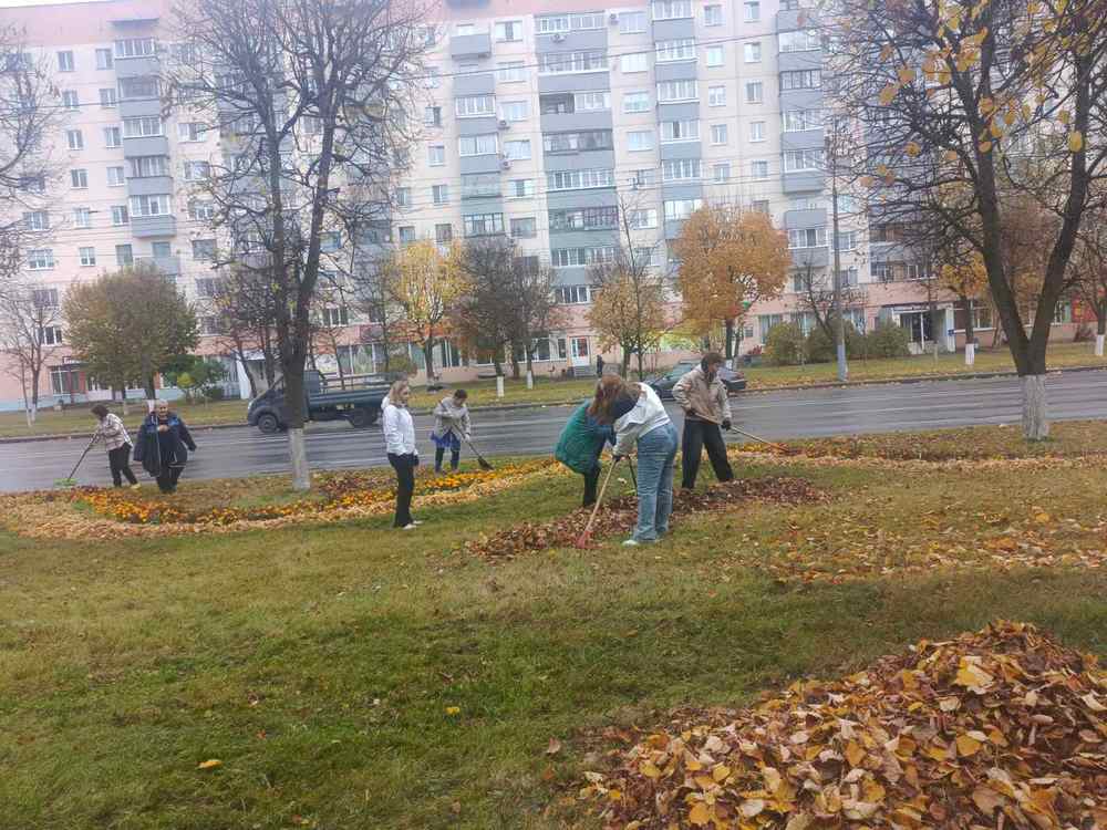 Изображение не найдено