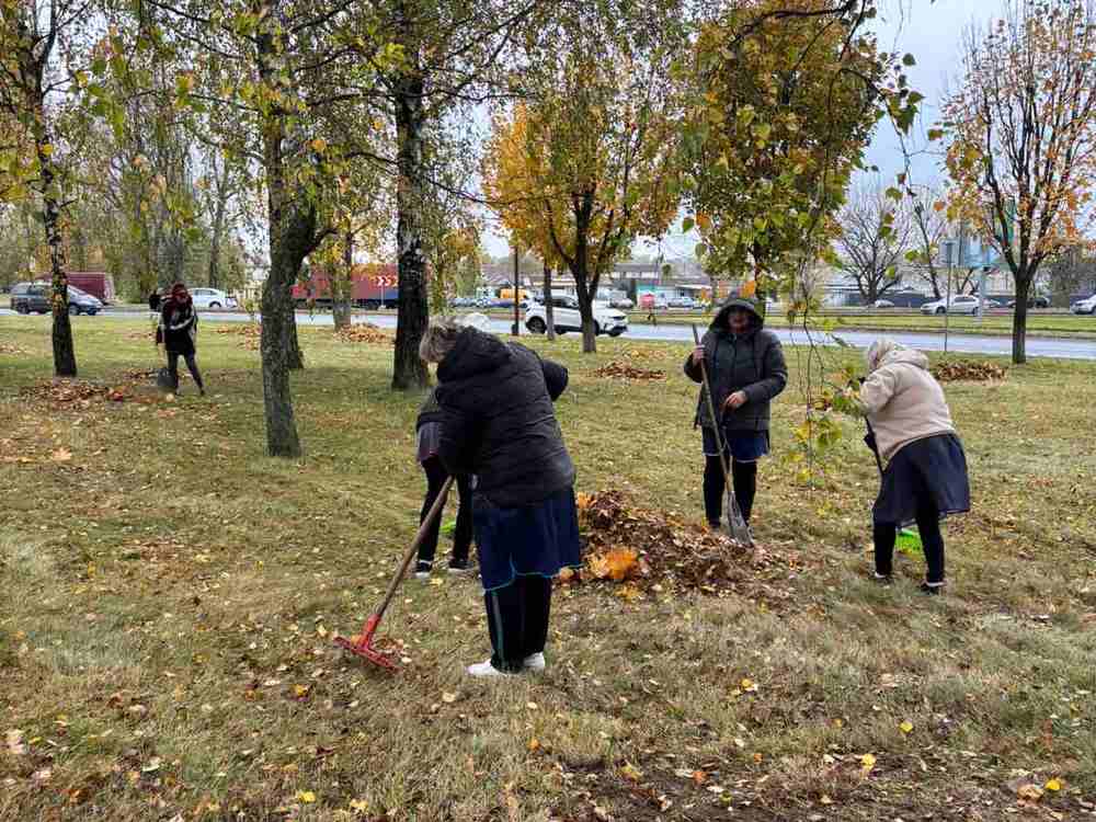 Изображение не найдено