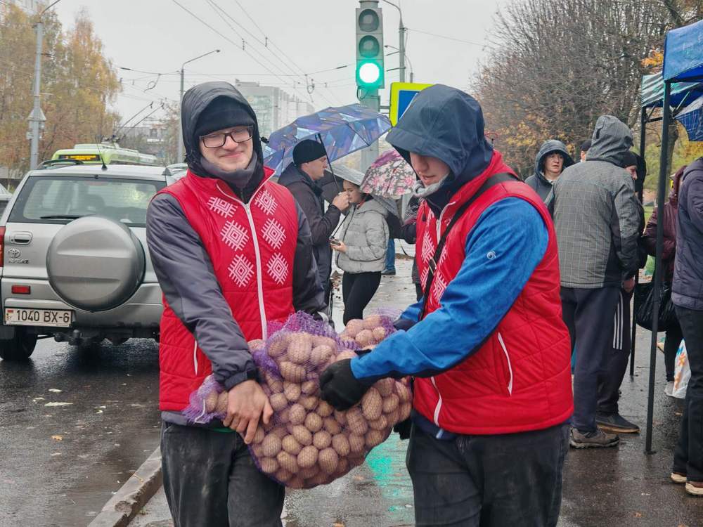 Изображение не найдено