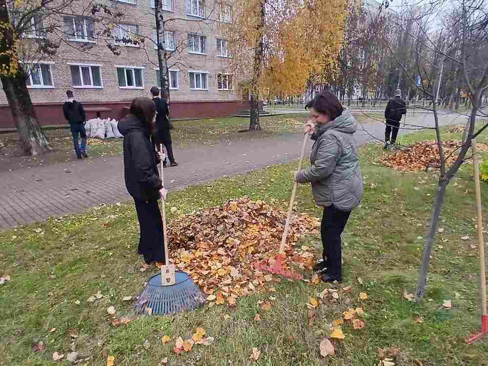 Изображение не найдено