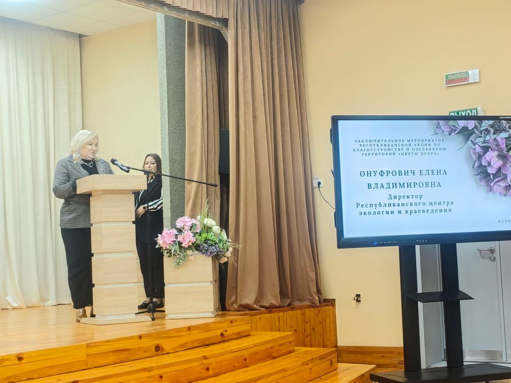 Изображение не найдено