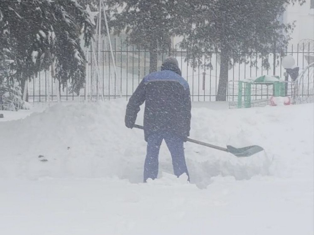 Изображение не найдено