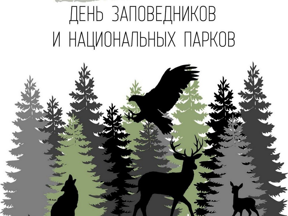 Изображение не найдено