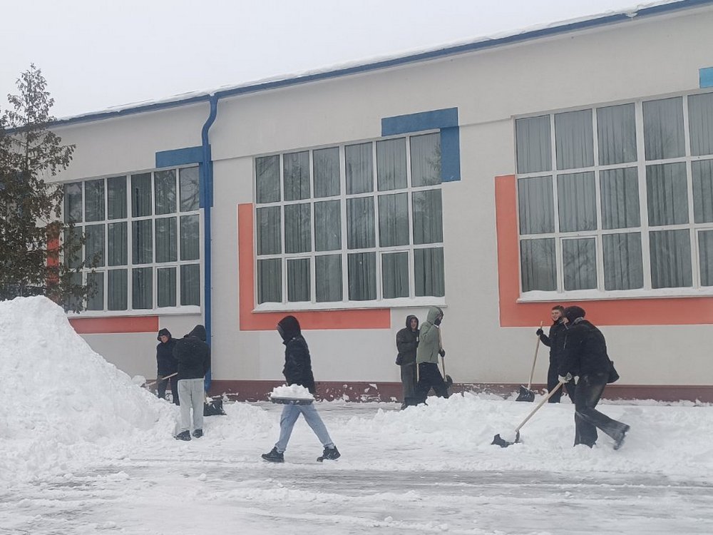 Изображение не найдено