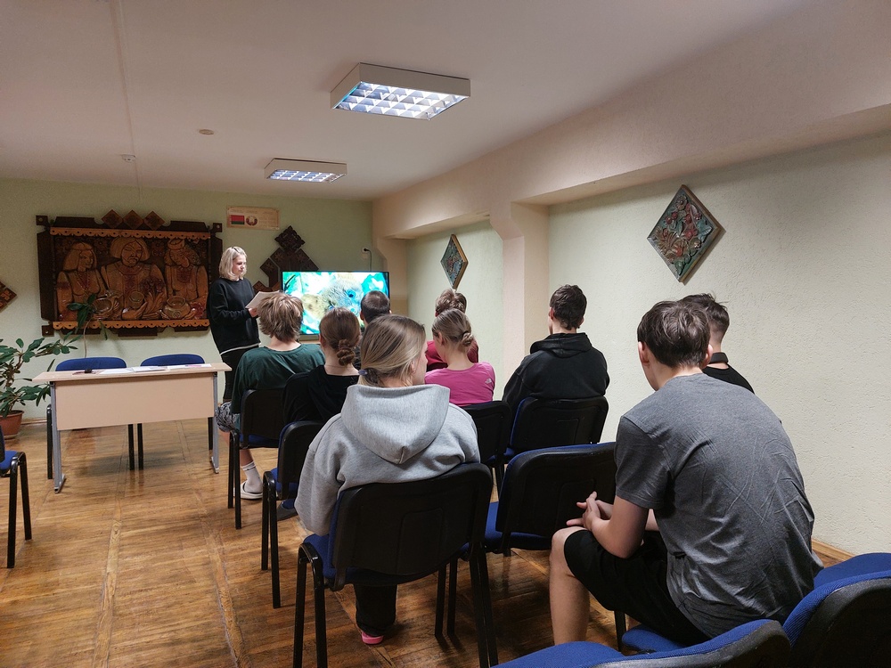 Изображение не найдено