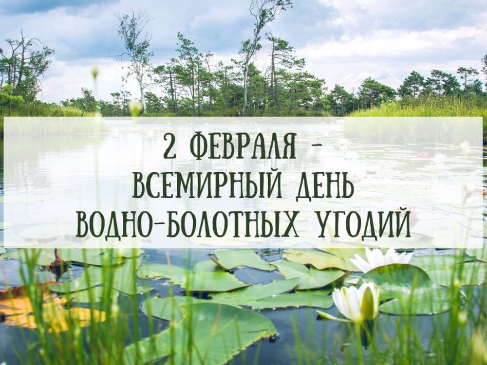 Изображение не найдено