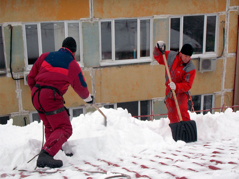 Изображение не найдено