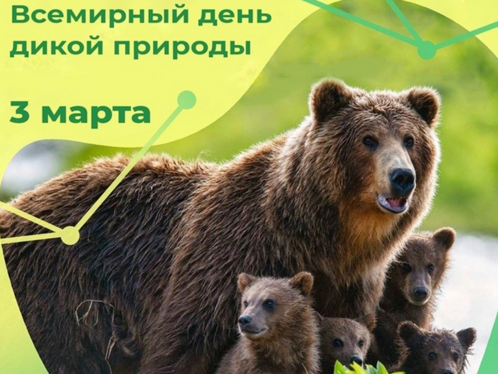 Изображение не найдено