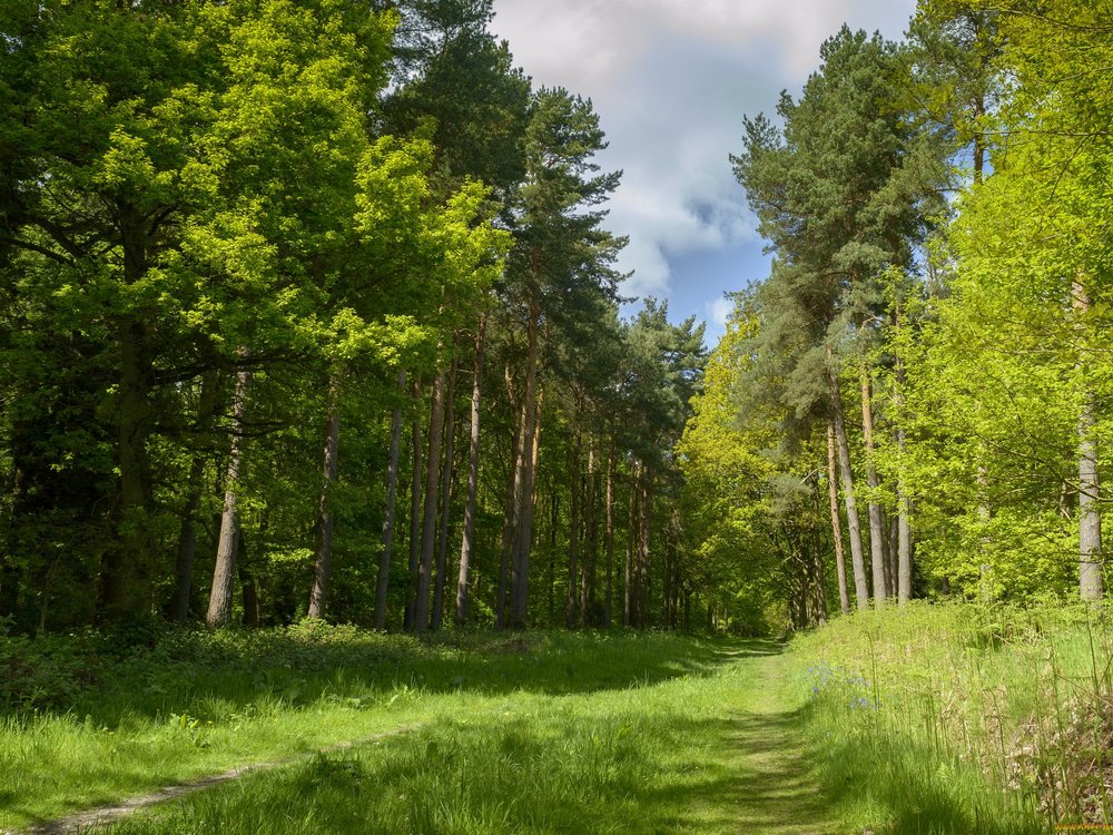Изображение не найдено