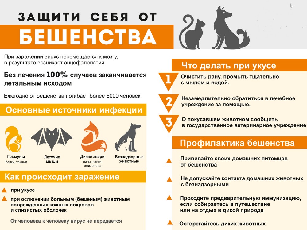 Изображение не найдено