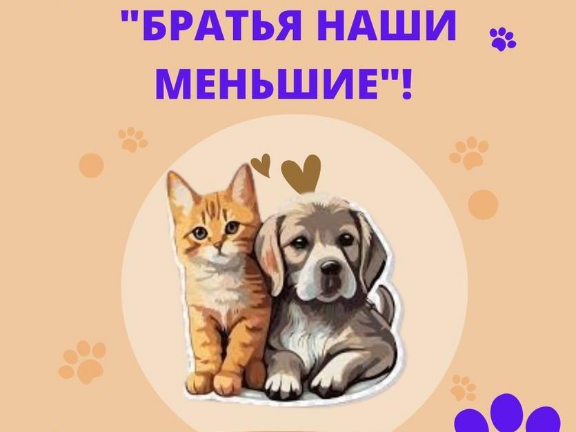 Изображение не найдено