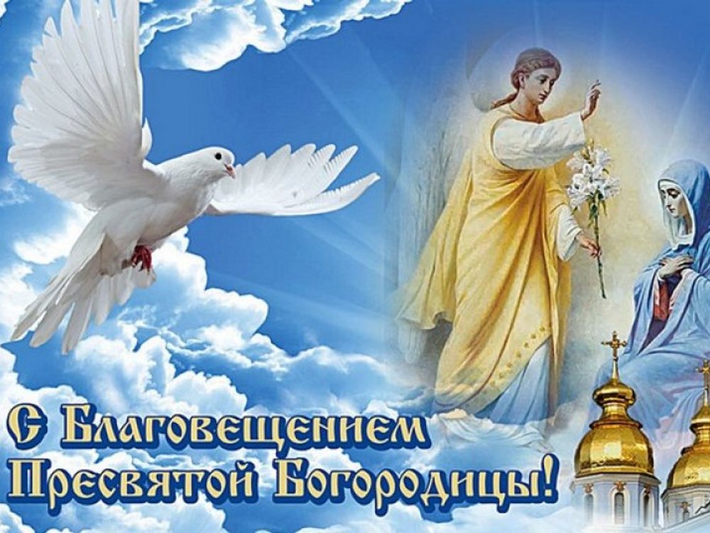 Изображение не найдено