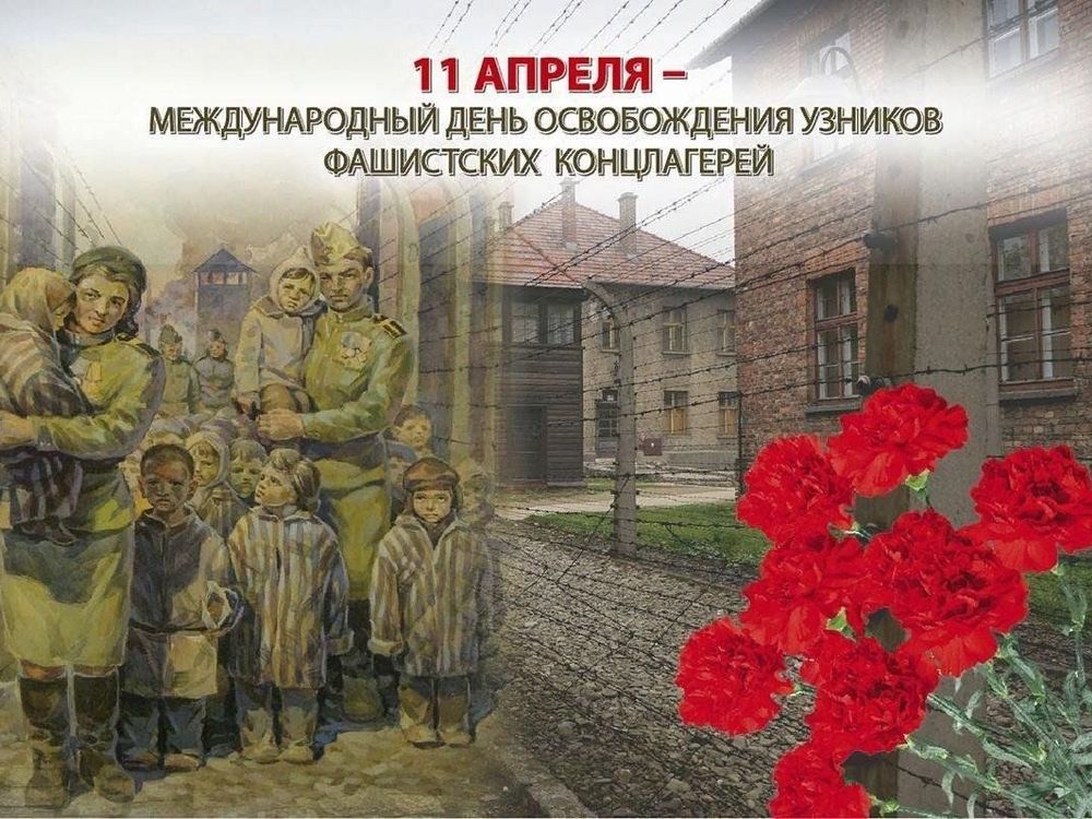 Изображение не найдено