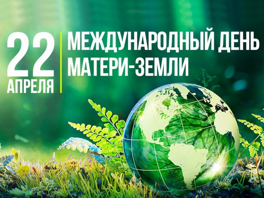 Изображение не найдено