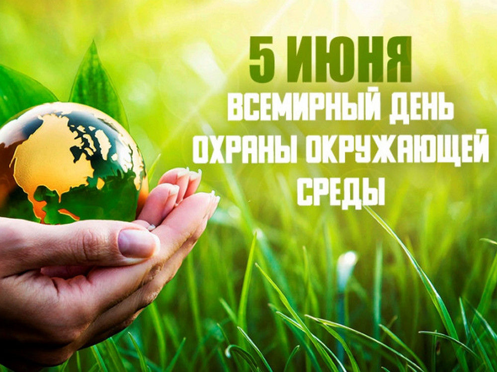 Изображение не найдено