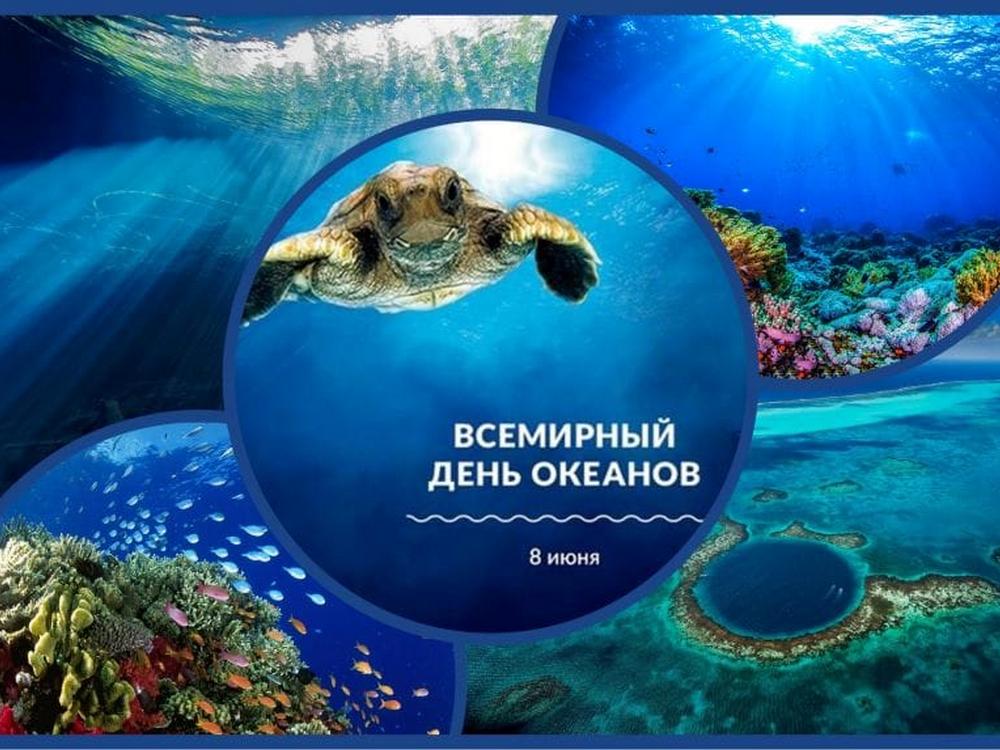 Изображение не найдено