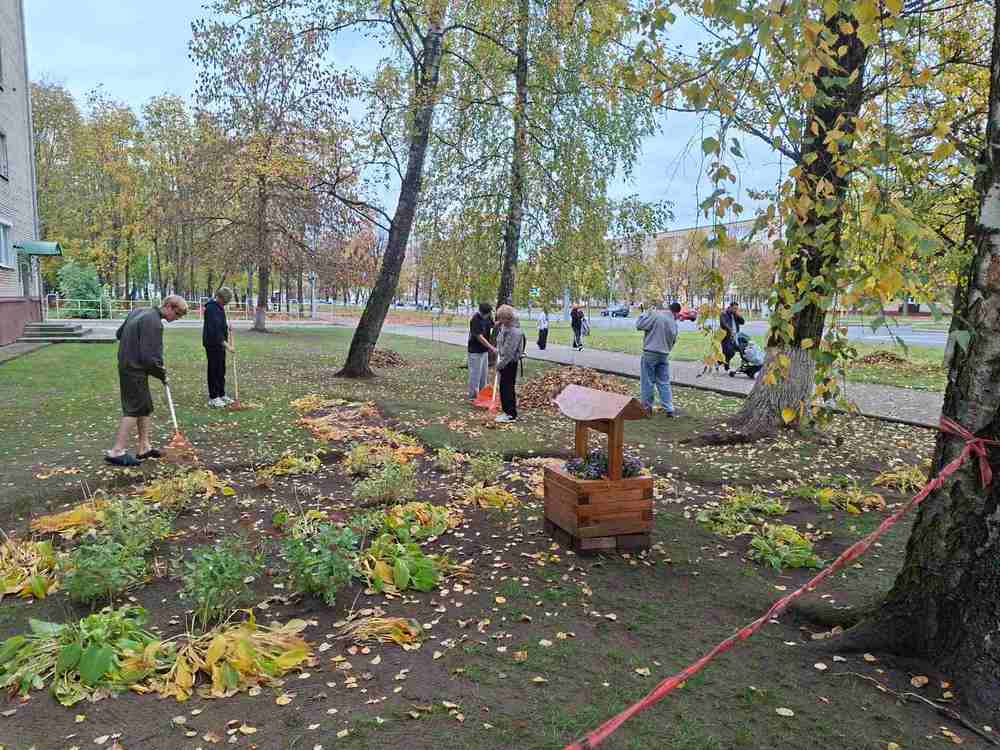 Изображение не найдено